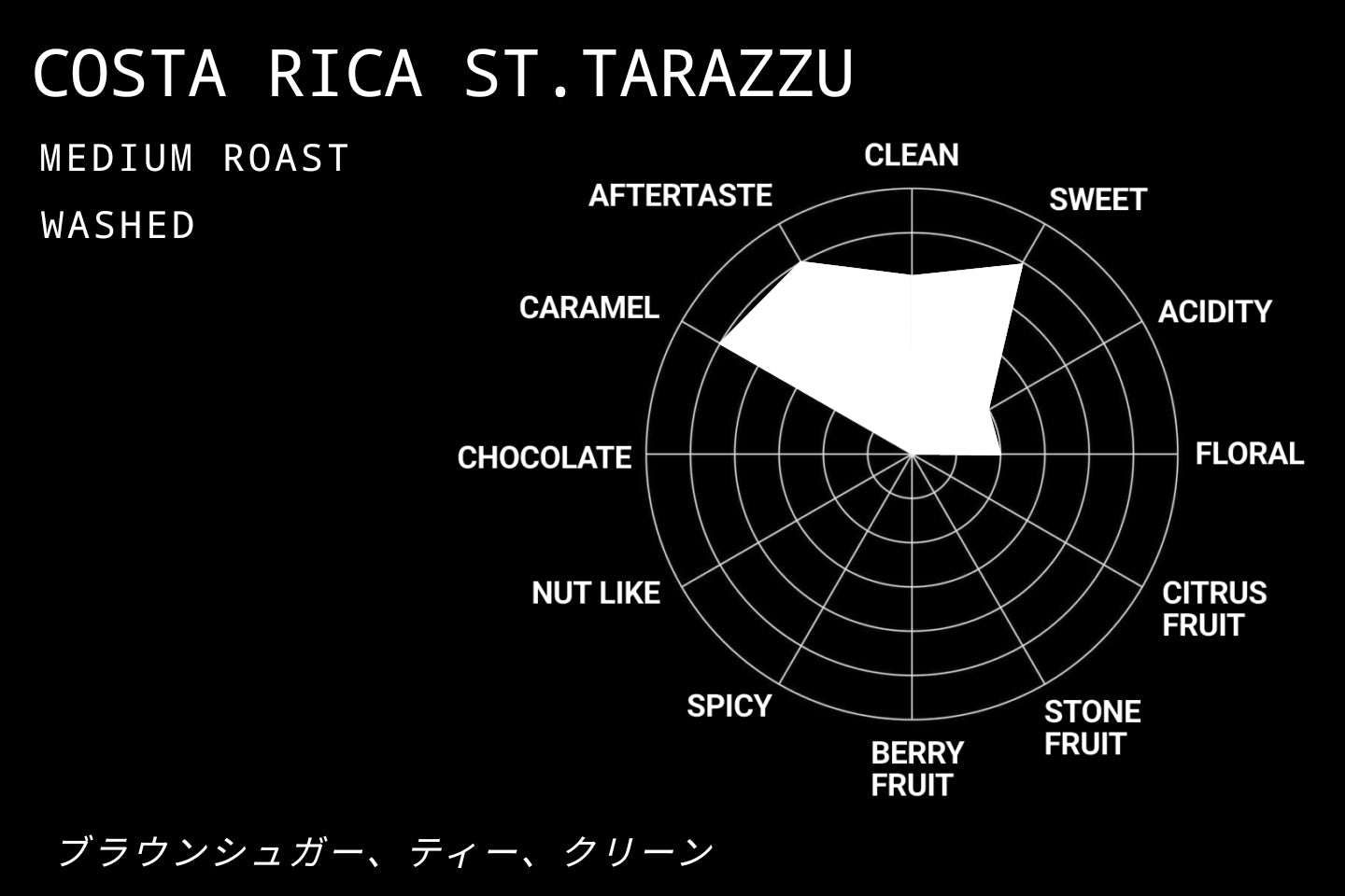 COSTASRICA ST. TARRAZU SHB GAMBOA WASHED　 コスタリカ　セントタラス SHB　ガンボア農園　ウォッシュト　