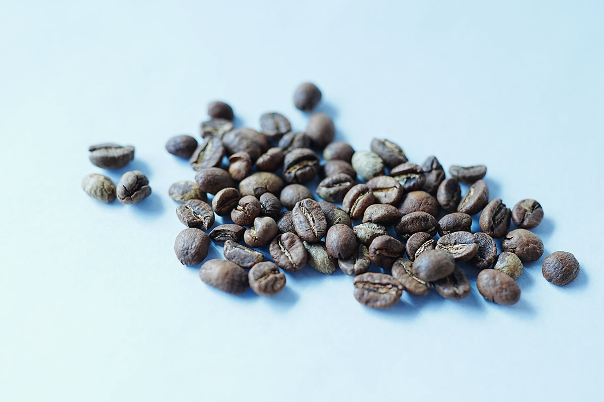 KENYA SAFARI WASHED  ケニア　サファリ　ウォッシュト