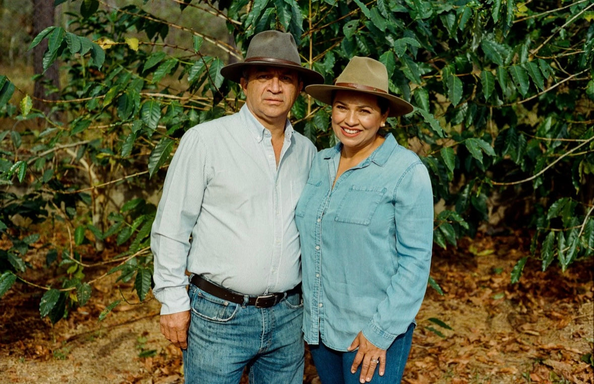 HONDURAS MARYSABEL CABALLERO Y MOISES GEISHA FULLY WASHED ホンジュラス　カバジェロ・ゲイシャ　ウォッシュト