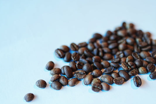 HONDURAS MARYSABEL CABALLERO Y MOISES GEISHA FULLY WASHED ホンジュラス　カバジェロ・ゲイシャ　ウォッシュト